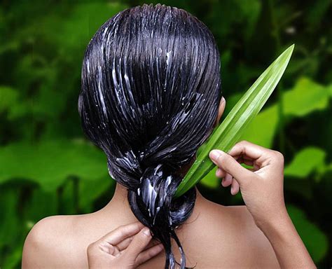 Wish To Make Your Hair Super Silky? Try These 5 Easy Natural Remedies ...