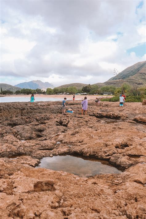 Anonib Hawaii: This Secret Spot Will Change Your Life Image 1