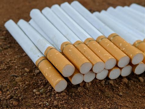 hollow cigarette tubes suppliers  manufacturers  pakistan