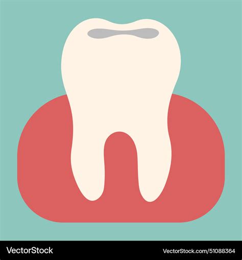 tooth single  royalty  vector image vectorstock