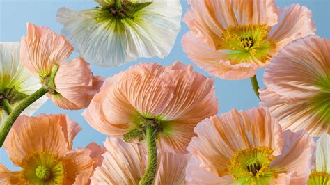 The surprising secret to maintaining