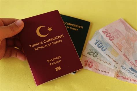22 Airline Financial Green Passport Images, Stock Photos, 3D objects ...