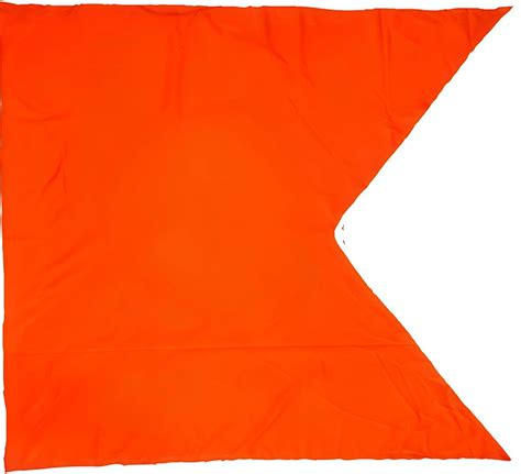 buy bhagwakart plain saffron flag bhagwa dwaj jhanda  inchpack