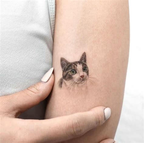The best cat tattoos of all time – Artofit