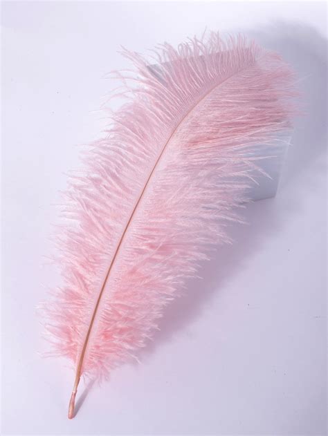 Feather Costume Prop | Costume props, Handmade decorations, Pink collars