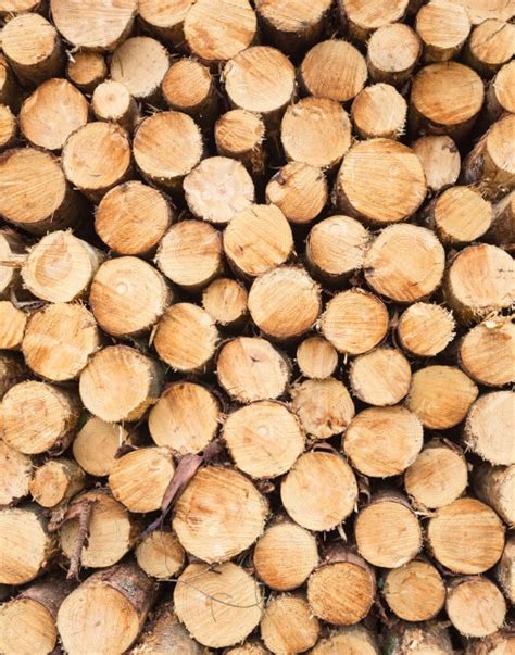 ecosystem services  businesses forest stewardship council