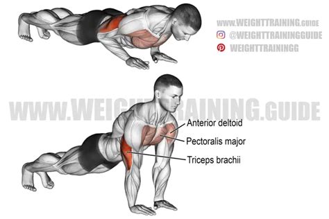 Close-grip push-up exercise instructions and videos | WeightTraining.guide