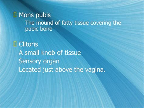 PPT - Female Reproductive Anatomy PowerPoint Presentation, free