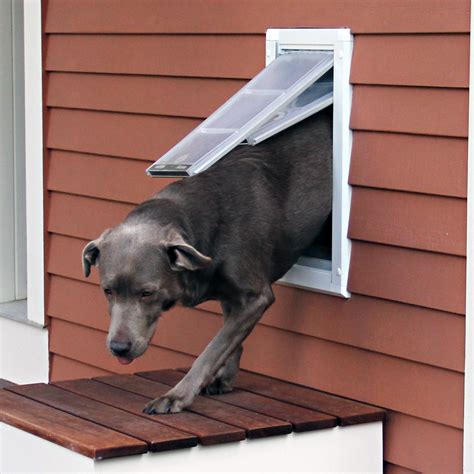 How To Fit A Dog Flap In A Glass Door at Harrison Greenwood blog