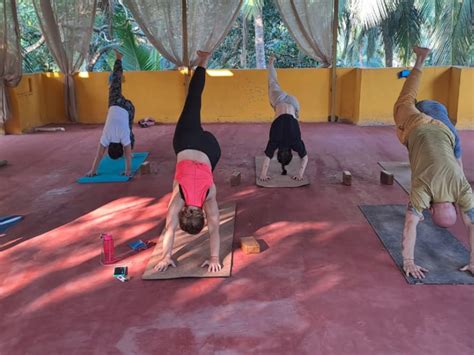 yoga teacher training school  goa