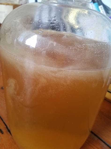 Sour mead may be infected? : r/mead