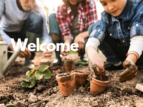 growing  vans garden