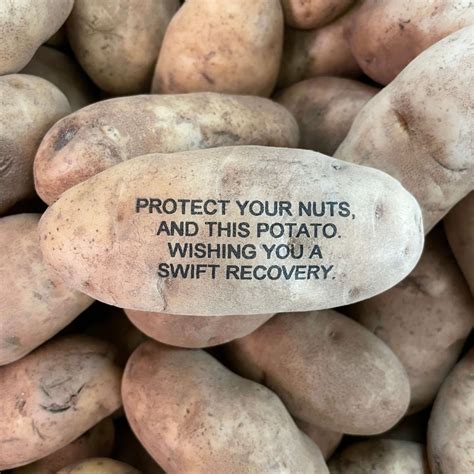 potato parcel net worth 2023