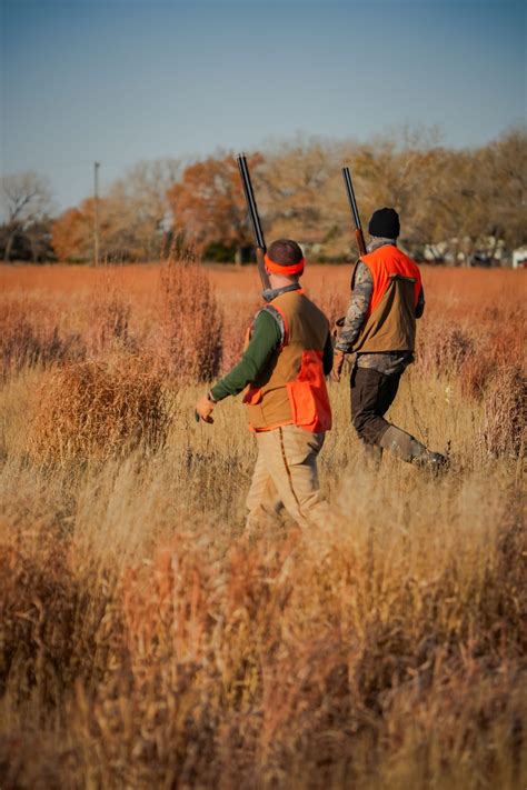 15 Best Late-Season Deer Food Plots - North American Outdoorsman