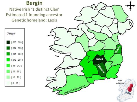 Bergin | Irish Origenes: Use your DNA to rediscover your Irish origin