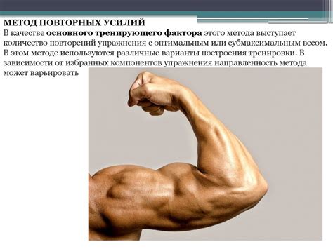 Развитие силовых способностей - презентация онлайн