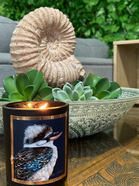 Nikki Anderson Beauty