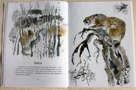Книга: Моя первая зоология - Евгений Чарушин. Купить книгу, читать ...