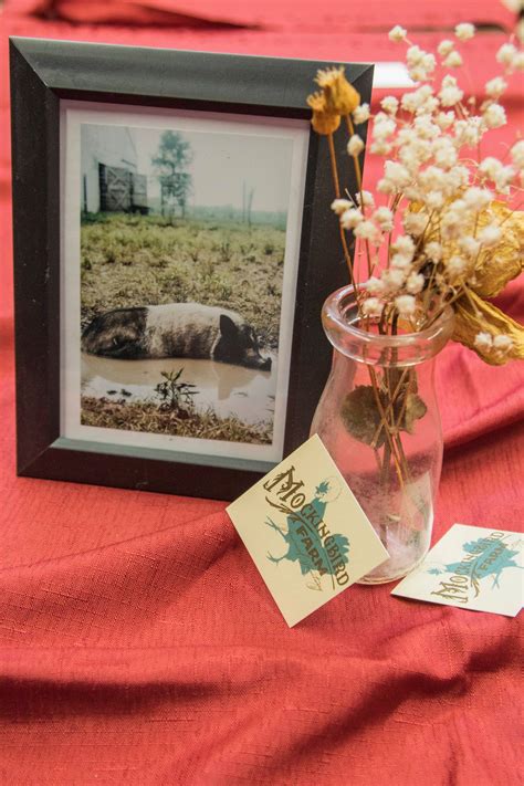 Mockingbird Farm Sanctuary | Byron NY