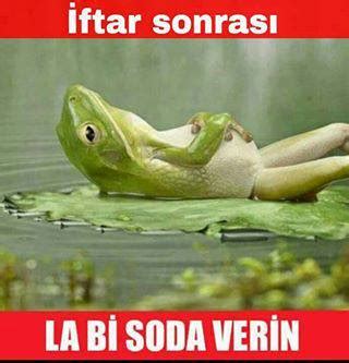 Komik ve Eğlenceli Resimler: Gününüzün İyi Geçmesi İçin En İyi 10 Resim ...