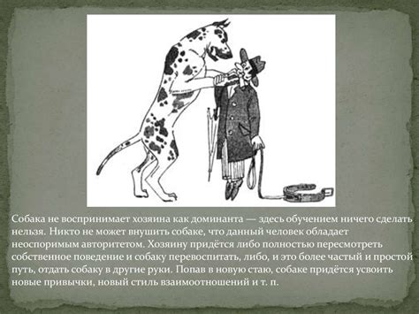 Коррекция нежелательного поведения собак - презентация онлайн