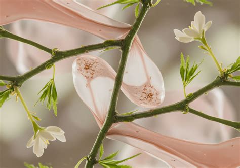 How Does Funding Instability Affect Activist Well Being? → Question