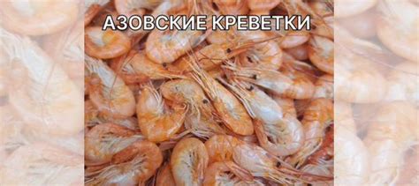 Креветка Черноморская Premium 3-4 см купить в Москве | Товары для дома ...