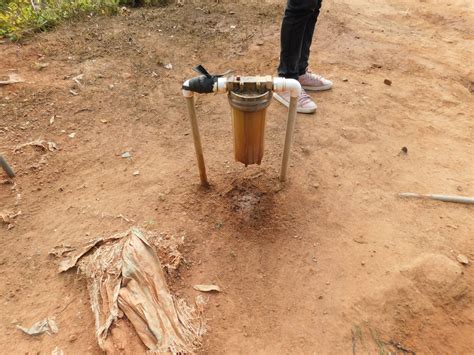 Serenity Love International