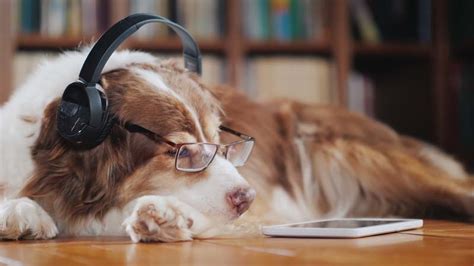 Is it good to sleep with Ambient Noise? - Ultimate Soundzzz