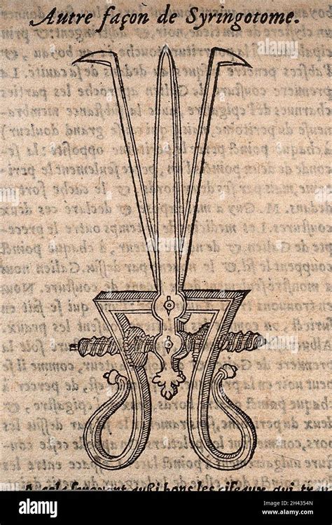 Surgical clamp for holding open the skin, together with another ...