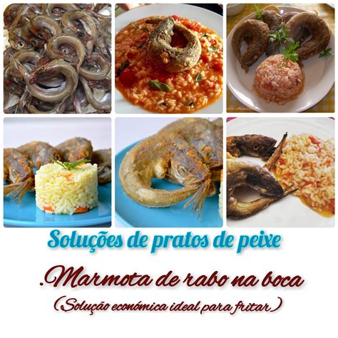 259. Marmota de rabo na boca