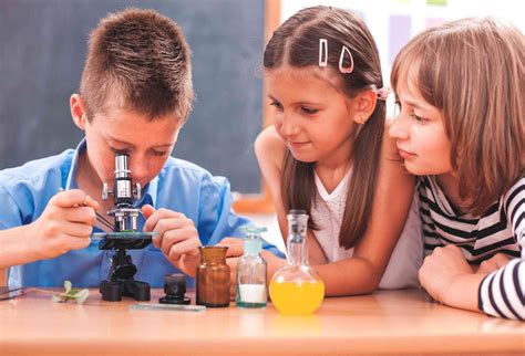 O Ensino De Ciencias Deve Estar Voltado Para - Ensino de Ciências