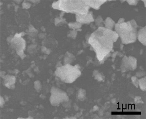 SEM image of ZrN powders. | Download Scientific Diagram
