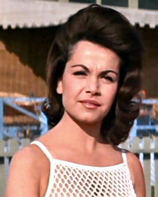 Annette Funicello Porn Pictures, XXX Photos, Sex Images #3882746 - PICTOA