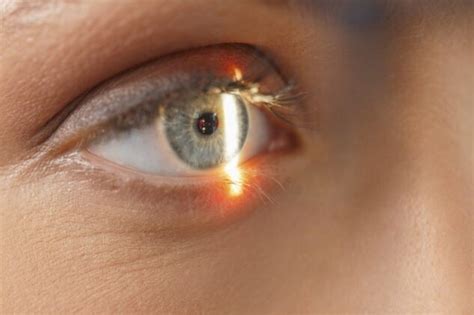 Dying Eyes Rewire Themselves to Save Sight - ScienceBlog.com