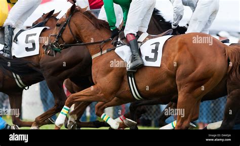 Steeplechase Horse Racing Stock Photos & Steeplechase Horse Racing ...