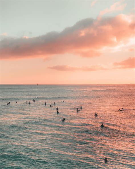 People on Beach during Sunset · Free Stock Photo