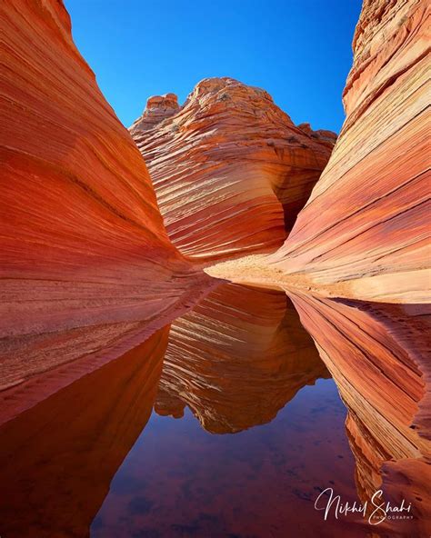 wave arizona