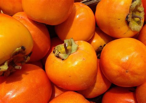 persimmon fruit images pixabay
