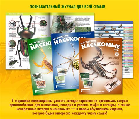 Настоящие насекомые