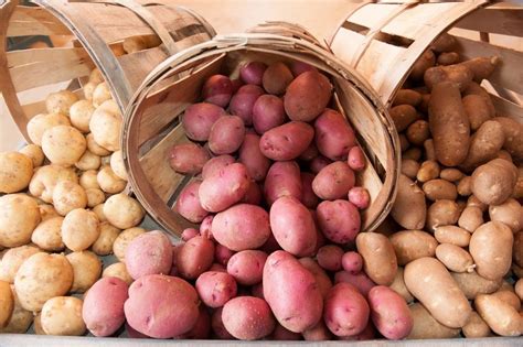 Как посадить картофель весной: способы ручной и механической посадки