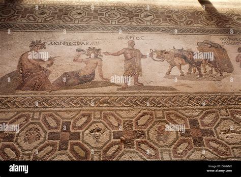 Roman mosaics at Paphos, Cyprus Stock Photo - Alamy