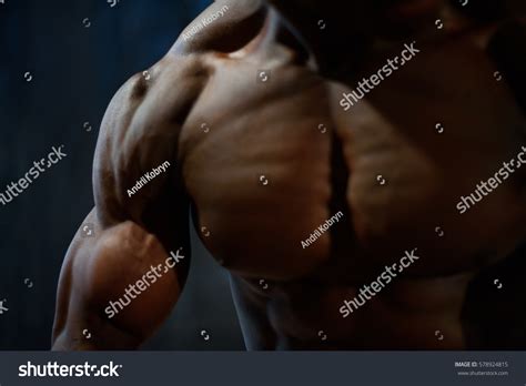 closeup power fitness mans hand strong stock photo  shutterstock