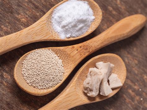 Types of Commercial Yeast – Caputo Flour