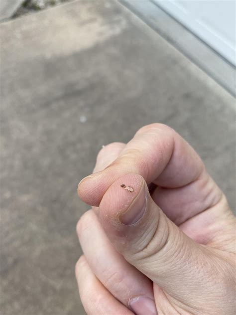 Arg, Craigslist. Purchased an item and found some casings upon closer