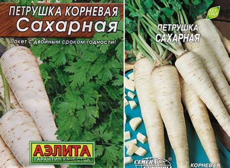 Петрушка корневая Сахарная: выращивание из семян, фото, отзывы ...