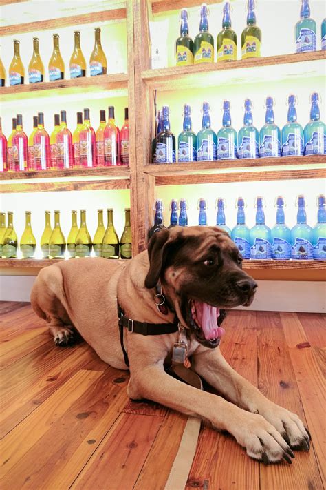 Charleston SC Marketplace Offers One-of-a-Kind Shopping Experiences 1