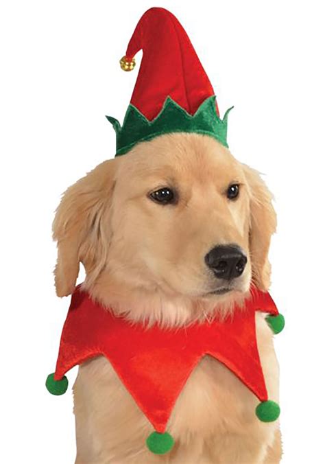 Elf Dog Costume Kit - Halloween Costume Ideas