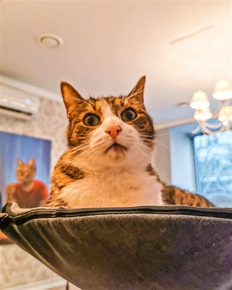 Vilnius Food Guide - 20 of the best places to eat & drink in Vilnius