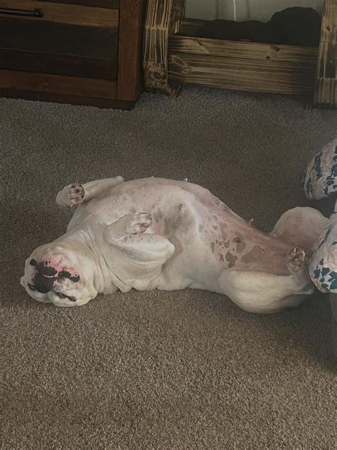 Slaygent P Piper Niven (@pipernivenwwe) • Instagram photos and videos